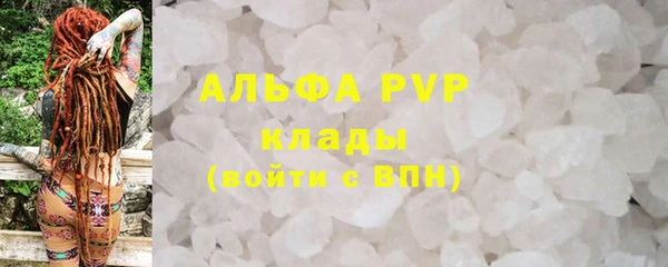 ешки Каменногорск