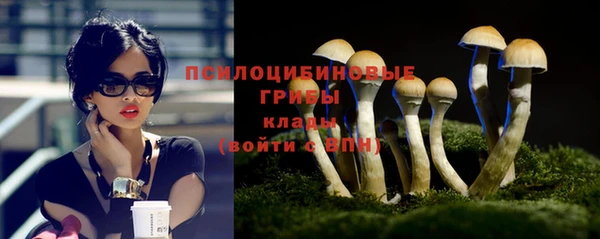 ешки Каменск-Шахтинский