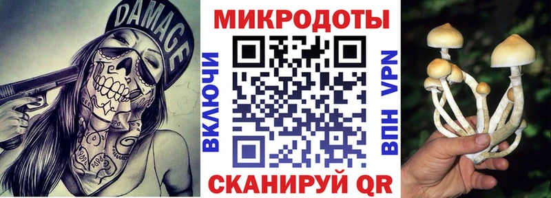 Купить  Белозерск  Псилоцибиновые грибы ЛСД 