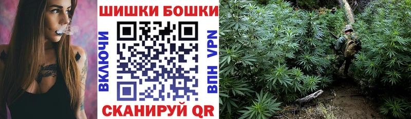 Купить где  Белозерск  Конопля ГИДРОПОН 